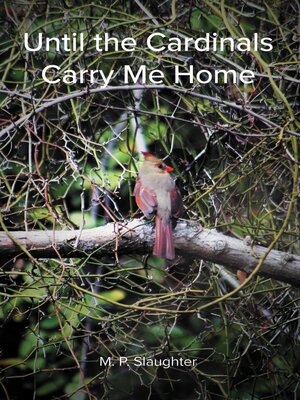 cover image of Until the Cardinals Carry Me Home